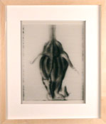 Nature morte (fleur maquette)
